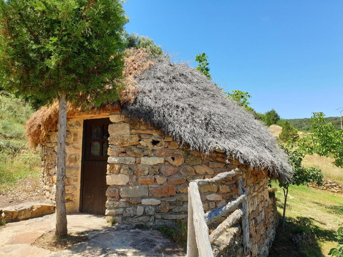 Casa Rural Don Rosendo Olmeda de Cobeta Dış mekan fotoğraf